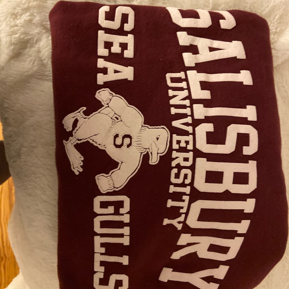 Sweatshirt - Picture 2 of 3